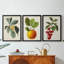 Antique Foliage & Fruit VI - Toile tendue avec châssis sur mesure - 3 pièces-1299706717-1299706715