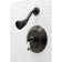 Vintage Shower Faucet with Rough-in Valve