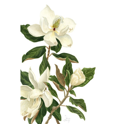 Magnolia I