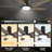 Fynnigan 52'' Ceiling Fan with LED Lights