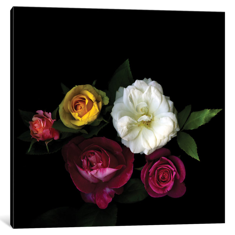 « a rose festival », reproduction de photo sur toile tendue, H 12 po x l 12 po x P 0,75 po, Pas de tapis, Toile tendue