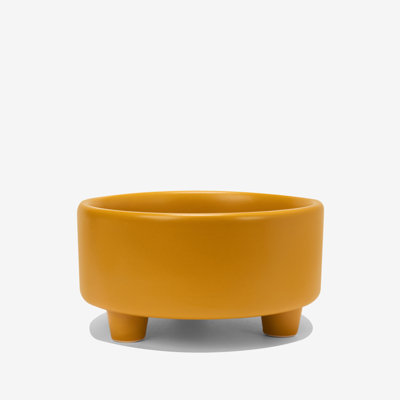 Uplift Ceramic Dog Bowl
