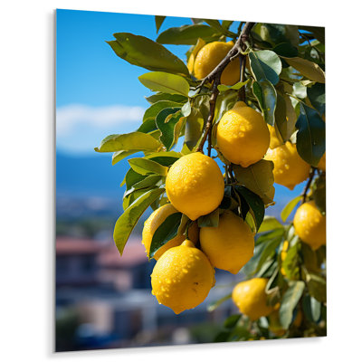 " Italy Sorrento Serenade I "