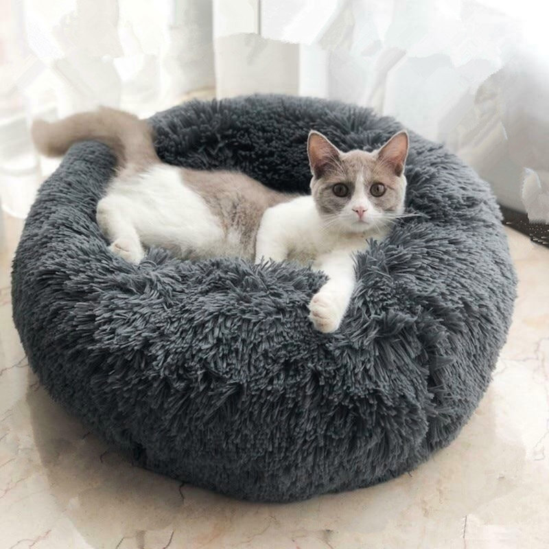 Tapis pour animal de compagnie Cecilla, Très petit (l 16 po x P 16 po x H 4 po), Gris foncé