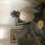 Customer photo 1 of 2