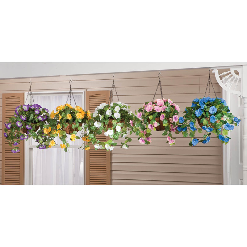 OakRidge Petunia Hanging Stem, Purple