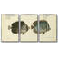 Bloch Antique Fish V - Toile encadrée multi-pièces-1357377764-1357377763