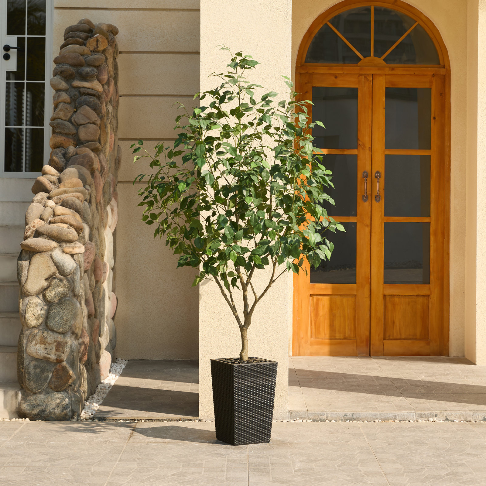 George Ficus Tree in Decorative Vase, Black, 72" H x 24" W x 24" D