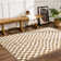 Carmin Checkered Indoor Rug