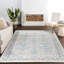 Efes Power Loom Polyester Geometric Area Rug in Gray/Light Gray-132082773