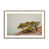 Brushed Gold Single Picture Framed