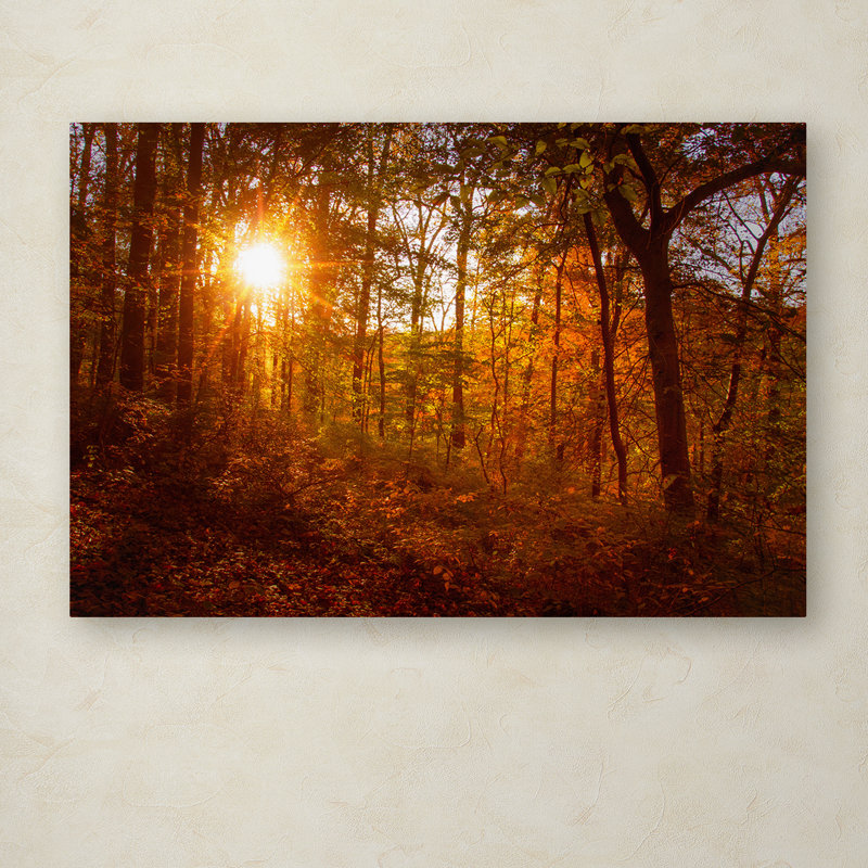 Autumn Sunset Landscape Gallery-Wrapped Canvas Art