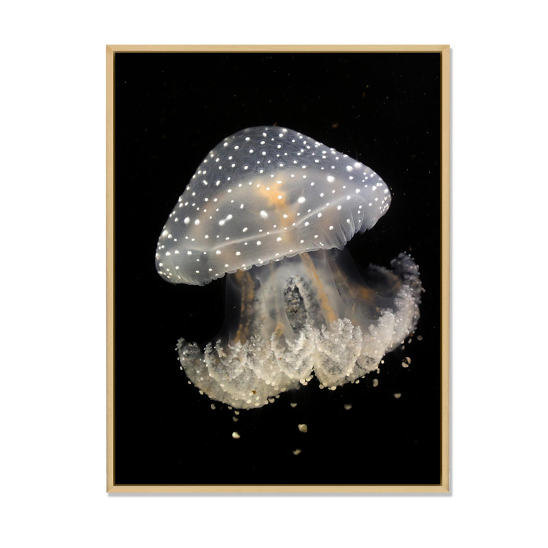 Méduse sur fond noir - peinture sur toile, H 20 po x l 12 po, Toile avec cadre en érable