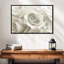 Roses blanches pures-1475767091-1475767095