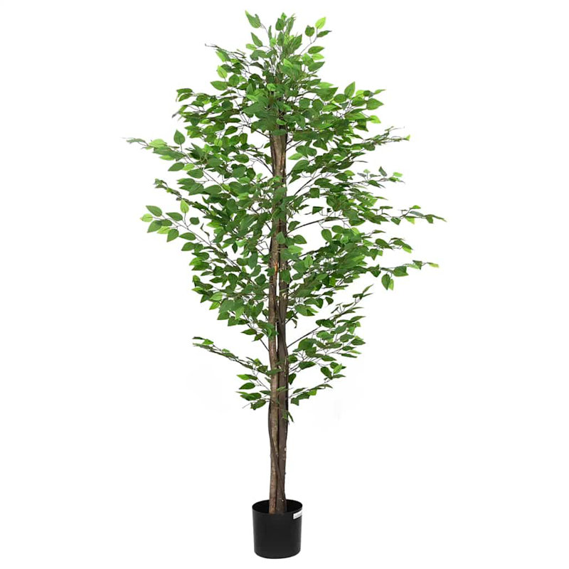 200cm Plant