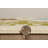 Uvalda Geometric Indoor Rug-15994507