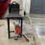 Customer photo 3 of 5