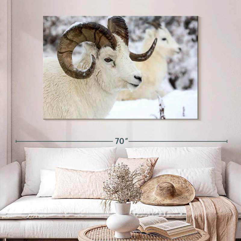 Mouton d'hiver