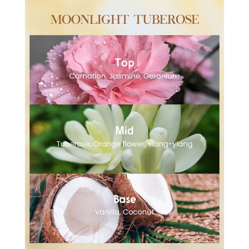  Grande bougie Patchouli Soy, 3-Wick 35oz 150H, bougie d'aromathérapie pour la méditation, 35 oz, Tubéreuse au clair de lune