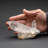 Cloche Or Water Globe