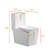 White-gold Dual-flush Elongated One-piece Toilet (seat Included)