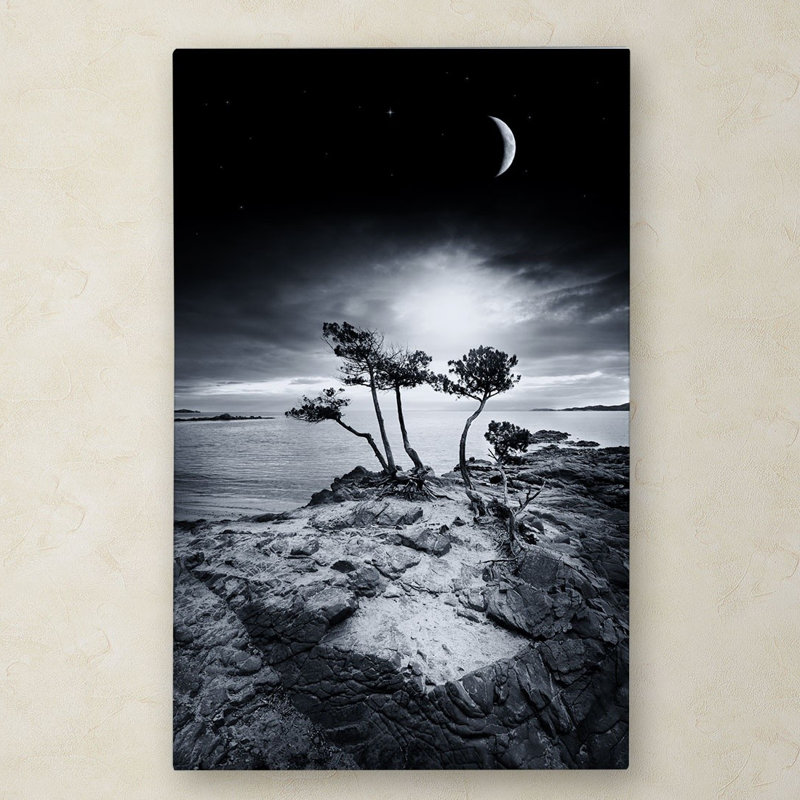 «Jenda Emotion High» par Philippe Sainte-Laudy - reproduction de photo sur toile tendue, H 24 po x l 16 po x P 2 po