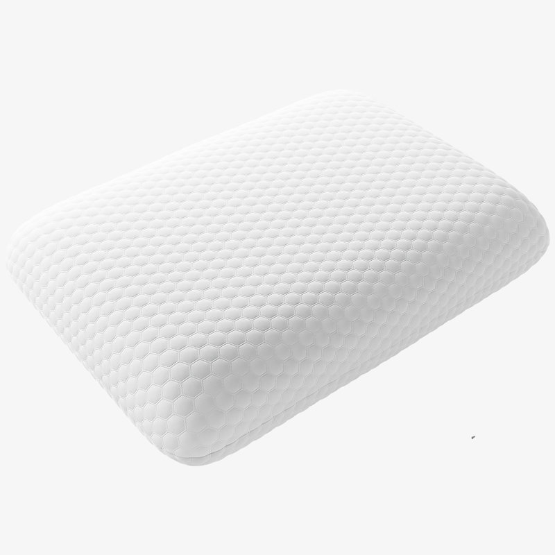 Coussin Agne