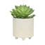 Pot à fleurs texturé S / 2 6/8 "-376544795