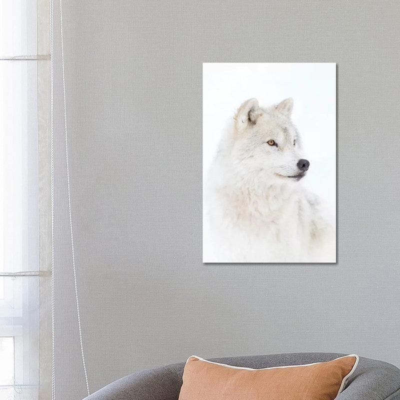 Portrait Of An Arctic Wolf by Jim Cumming - Wrapped Canvas Print