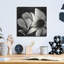 «Flowers Black White 30» par Ray Heere-741728454