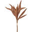 Mulberry Brown Dried Flower Bunch-119034006-119034007