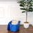 Homz Plastic Storage Tub & Tote
