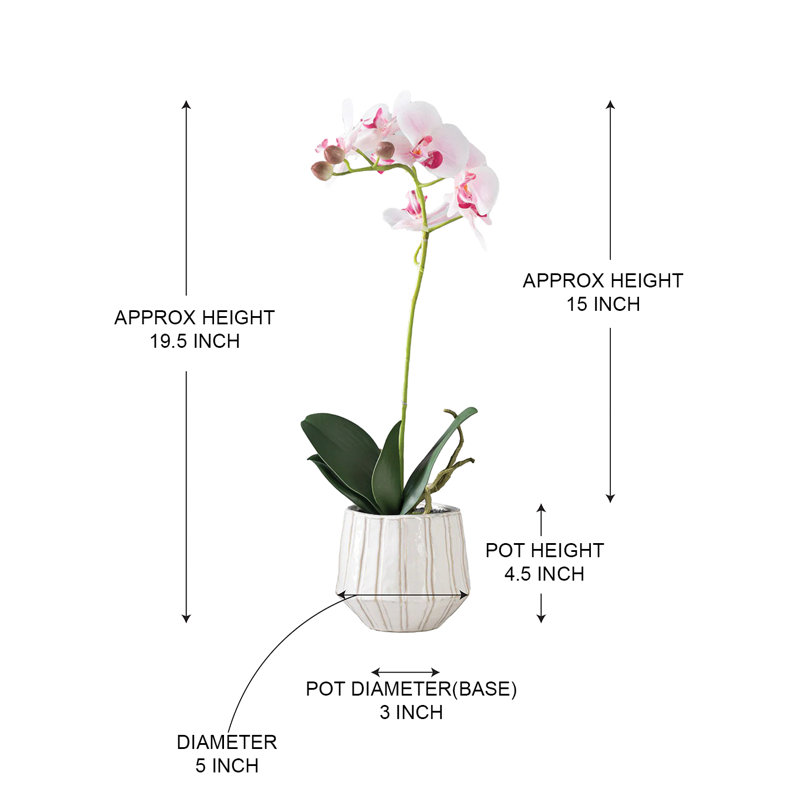  Fausse orchidée rose en pot, diamètre de 5 po et hauteur de 19,5 po
