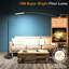 175cm Matte LED Arched Floor Lamp