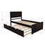 Lit plateforme simple avec lit gigogne Ilka