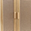 Alefiyah Rectangle Accent Accent Chest