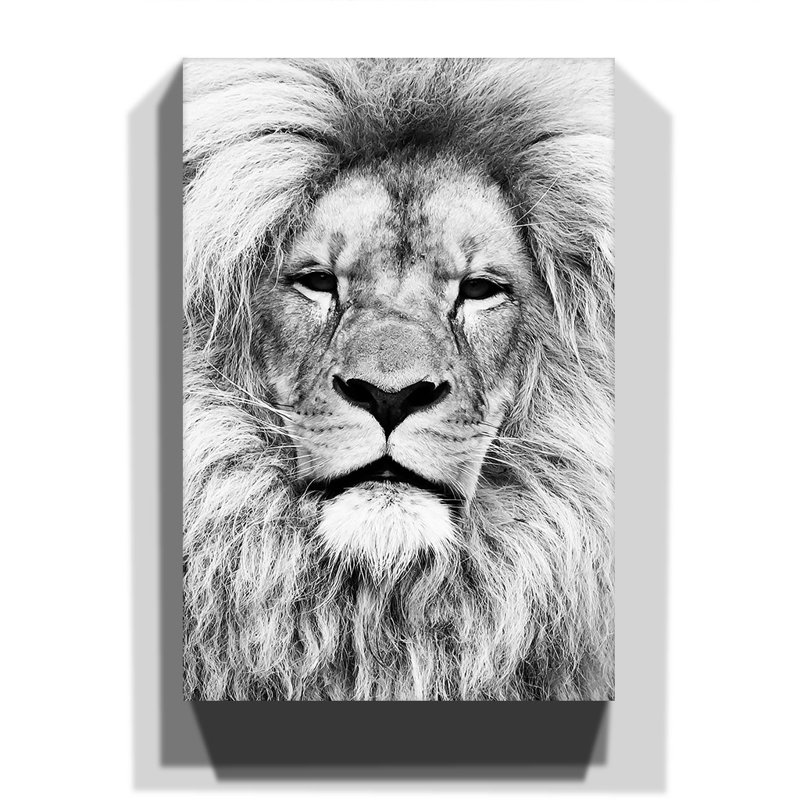 Wrapped Canvas Print, 76cm H x 50cm W