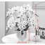 Arrangement de xiangxulan dans un vase-249036527