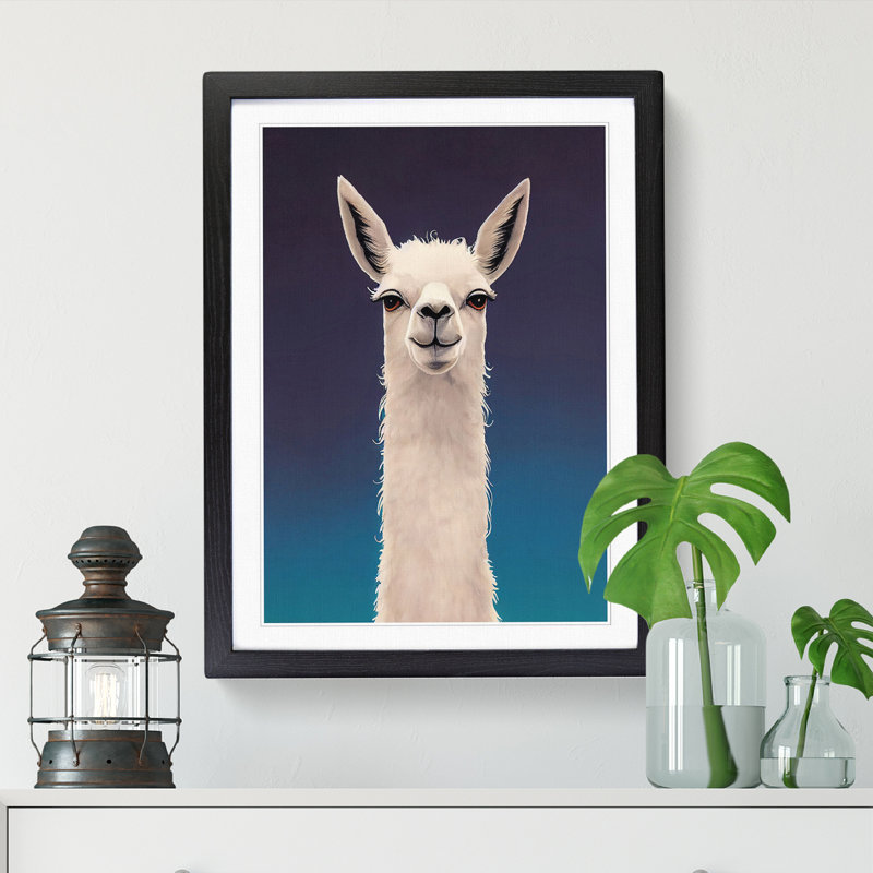 Face Of A Llama Vol.3 - Single Picture Frame Print, Black, 46cm H x 34cm W x 2cm D