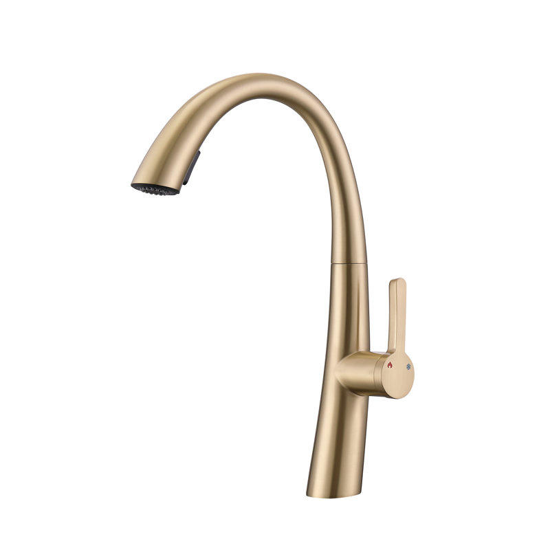CERYPSA Pull Out Kitchen Faucet, Brushed