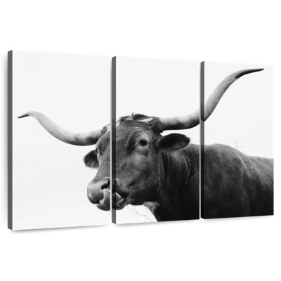 Longhorn Brampt monochrome