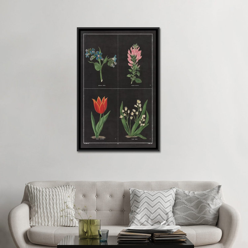 «Botanical Chart III», impression sur toile tendue, H 26 po x l 18 po x P 1,5 po, Toile encadrée noire, Pas de tapis