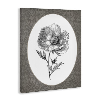 Art mural sur toile Anemone Sprig Vignette