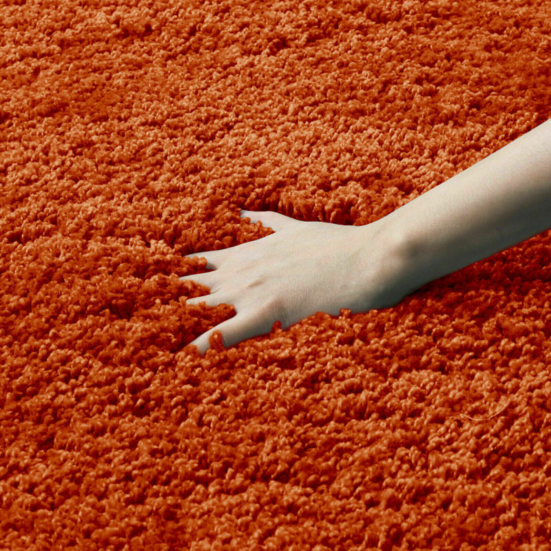 Ellyott Solid Colour Shag Area Rug, Rectangle 80 x 150cm