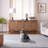 Kankel Gray-1095474275
