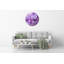 Joviana Glass Wall Clock