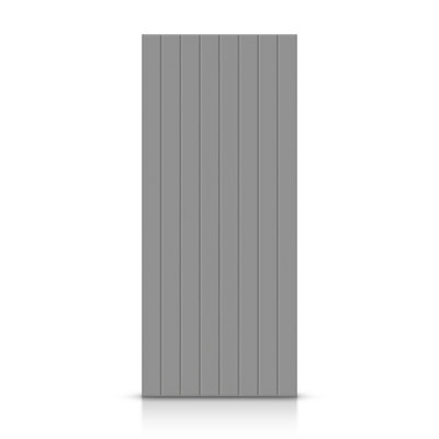 Hollow Paneled Painted without Installation Hardware Kit Slab Door