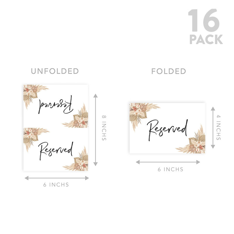 Paper Backdrops & Signs