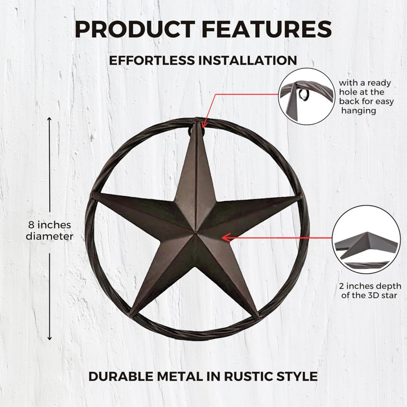 Metal Western Wall Art Set of 2 Rustic Stars with Rope Frames 8"