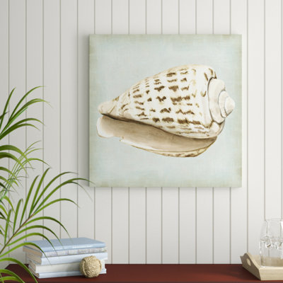 " Sea Dream Shells II " by Vision Studio Painting Print